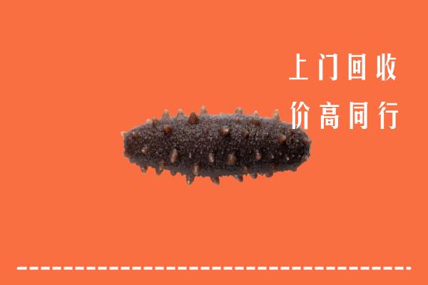 玉州区回收海参